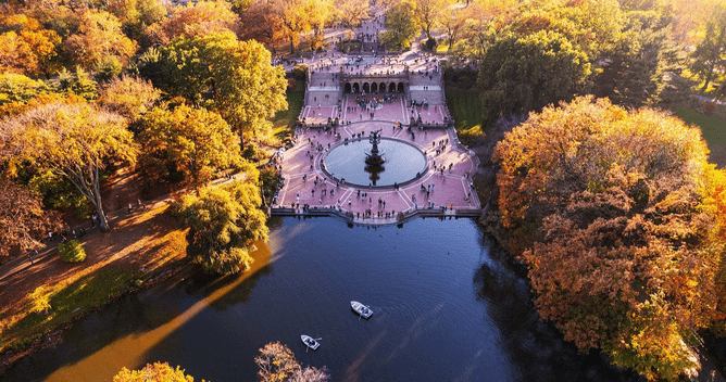 Central Park Optimized 100