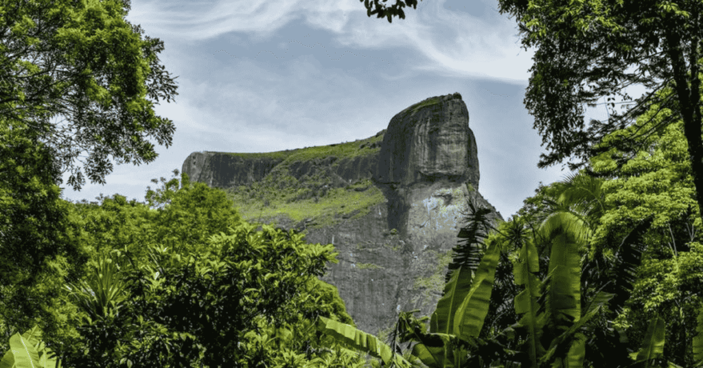 Tijuca National Park 1024x536